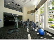 Carbonell Brickell Key Condo-Gym