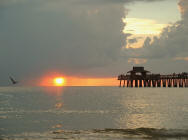 Naples and West Florida Real Estate