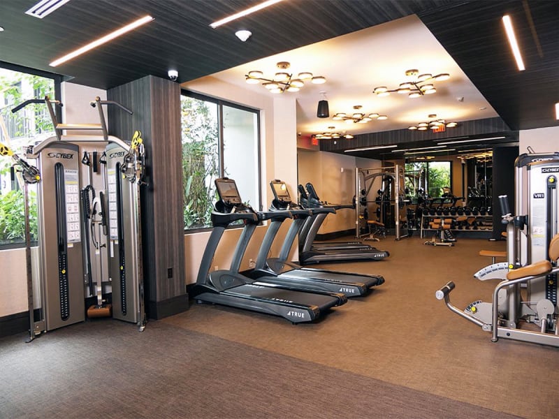 Merrick Manor Coral Gables Gym