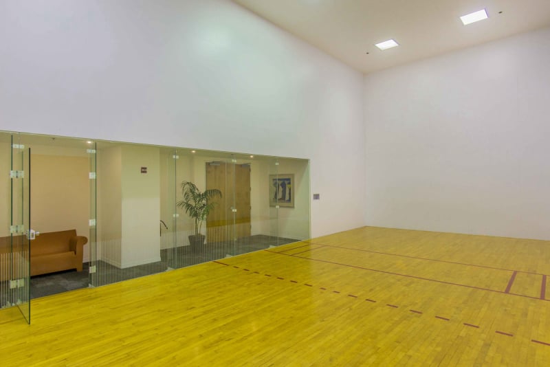 Mark on Brickell - Racquetball