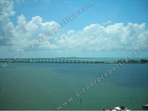 The Palace on Brickell Views