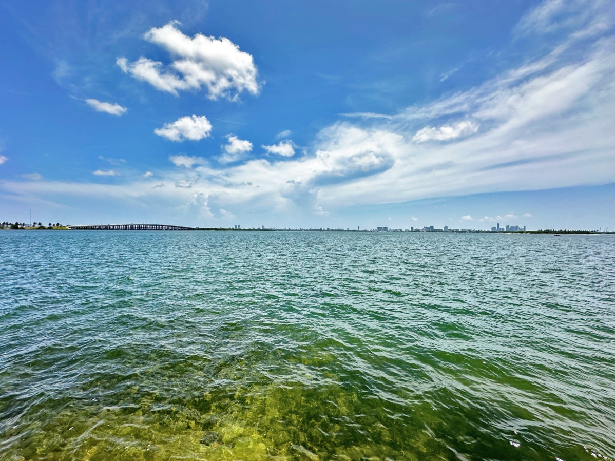 Quadro Miami