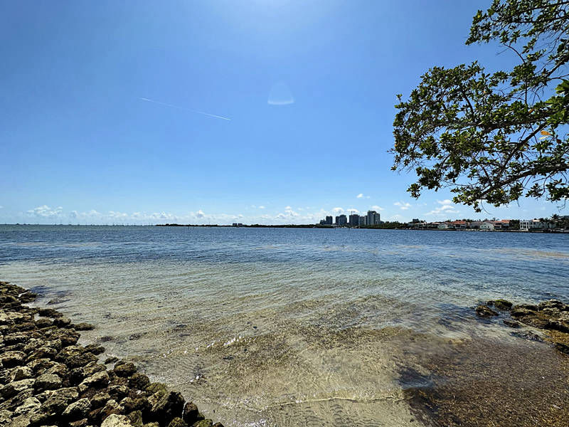 Grove Isle Coconut Grove Beach Area