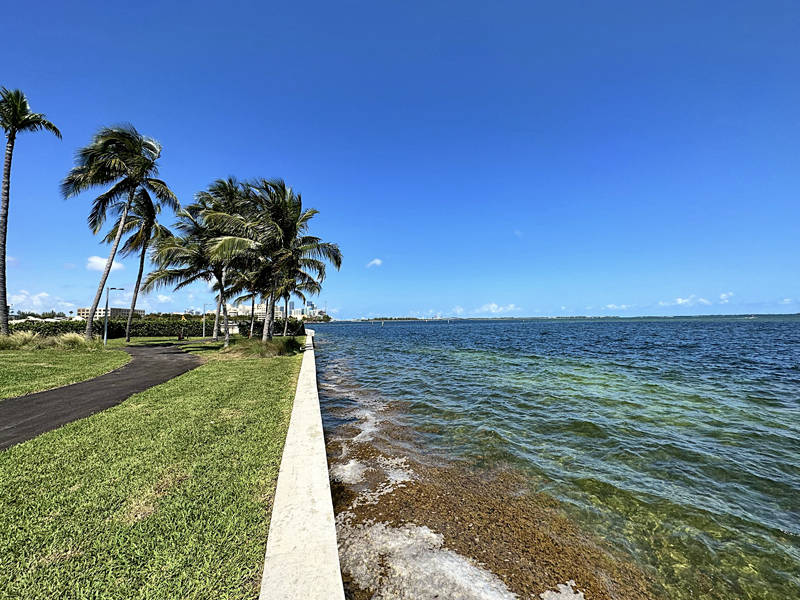 Grove Isle Coconut Grove Walk Path