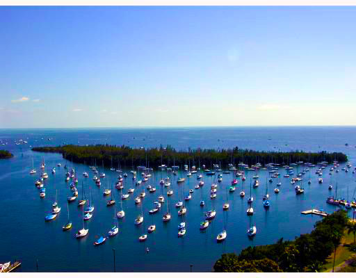 Grove Towers Coconut Grove - East View