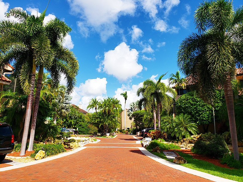 L'Hermitage Coconut Grove - Driveway