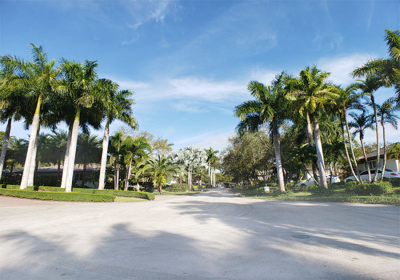 Old Cutler Springs Pinecrest