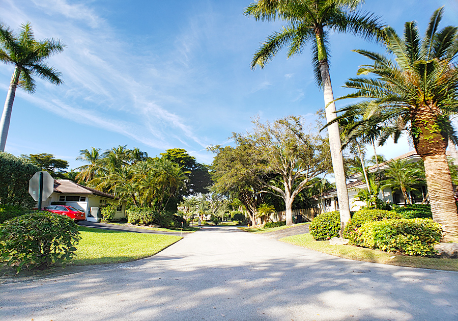 Old Cutler Springs Pinecrest