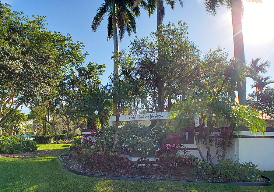 Old Cutler Springs Pinecrest