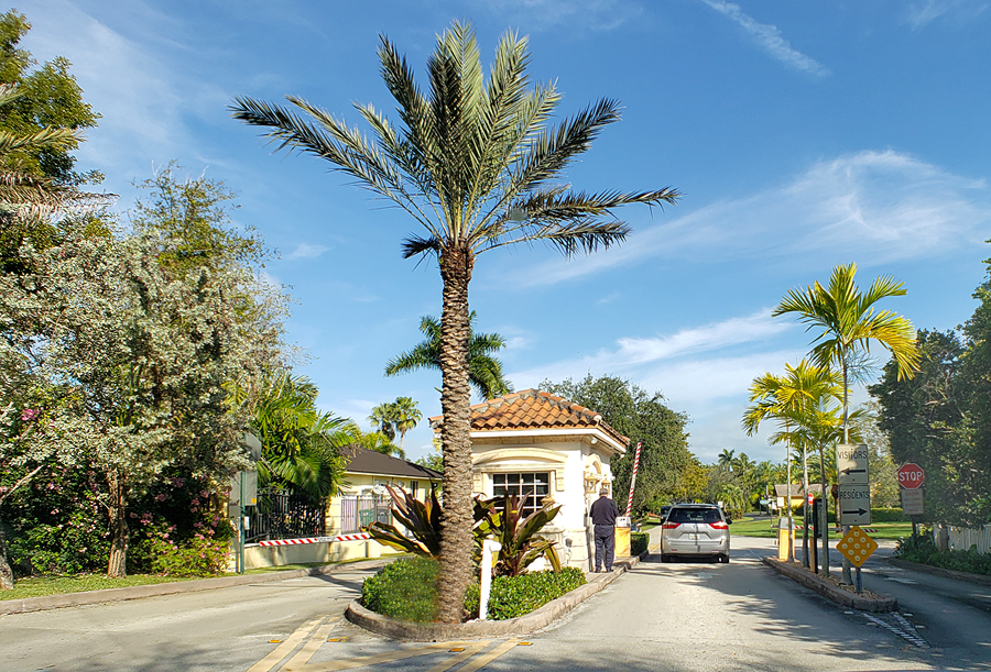 Cutler Bay Estates Pinecrest