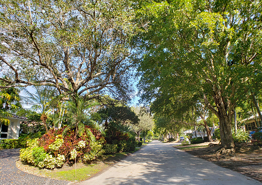 Cutler Bay Estates Pinecrest