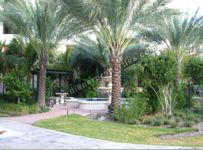 Puerta de Palmas Garden